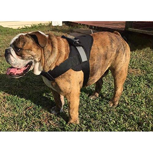 HDP Big Dog Soft No Pull Harness