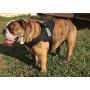 HDP Big Dog Soft No Pull Harness