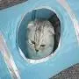 DPFXNN Collapsible Pet Tunnel, Cat Toy Tunnel, for Pet Exercise, Training, 3 Openings. with Cat Toys for Cats, Rabbits, Guinea Pigs DPFXNN Collapsible Pet Tunnel, Cat Toy Tunnel, for Pet Exercise, Training, 3 Openings. with Cat Toys for Cats, Rabbits, Guinea Pigs
