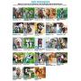Voyager Step-in Air Dog Harness - All Weather Mesh, Step in Vest Harness for Small and Medium Dogs by Best Pet Supplies