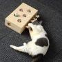 Cat Toys Interactive Mouse Solid Wooden Puzzle Box Whack A Mole Mouse 5 Holes, IQ Training Toy Adjustable Funny Treats Exercise Games for Puppys Kitten