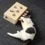 Cat Toys Interactive Mouse Solid Wooden Puzzle Box Whack A Mole Mouse 5 Holes, IQ Training Toy Adjustable Funny Treats Exercise Games for Puppys Kitten Cat Toys Interactive Mouse Solid Wooden Puzzle Box Whack A Mole Mouse 5 Holes, IQ Training Toy Adjustable Funny Treats Exercise Games for Puppys Kitten