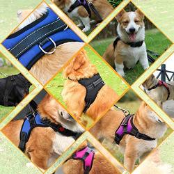 Musonic No Pull Dog Harness, Breathable Adjustable Comfort, Free Leash Included, for Small Medium Large Dog, Best for Training Walking
