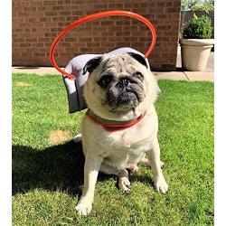 Muffin’s Halo Blind Dog Harness Guide Device – Help for Blind Dogs to Avoid Accidents & Build Confidence – Ideal Blind Dog Accessory to Navigate Surroundings. Helped Over 30,000 Blind Dogs!