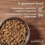 Diamond Naturals Premium Large Breed Formulas Dry Dog Food for Adult Dogs and/or Puppies Made with Real Meat Protein, Superfoods, Probiotics and Antioxidants