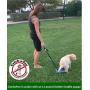 Pooper Scooper For Dogs - Free Bags - The ''Catchapoo'' Catches Dog Poo Before It Hits the Ground
