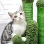 PAWZ Road Cat Scratching Post Cactus Cat Scratcher Featuring with 3 Scratching Poles and Dangling Ball
