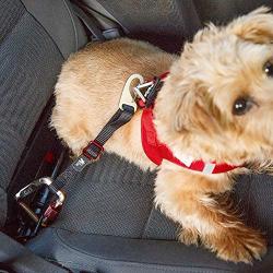 Curli Car Safety Belt Dog Car Seat Belts Nylon Extra Strong Adjustable Length Car Seat Belt for Dogs