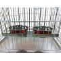 Ellie-Bo Pair of Dog Bowls for Crates/Cages or Pens, Large, 2.0 Litre, Red
