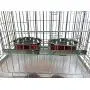 Ellie-Bo Pair of Dog Bowls for Crates/Cages or Pens, Large, 2.0 Litre, Red Ellie-Bo Pair of Dog Bowls for Crates/Cages or Pens, Large, 2.0 Litre, Red