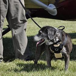 Bergan Auto Dog Harness Large-tan/black 50-80lbs