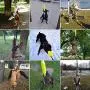 Outdoor Hanging Bungee Dog Toy - Durable Spring Pole for Pitbull & Medium to Large Dogs - Interactive Tugger for Safe & Fun Solo Play, Exercise and Tug of War - Tough Fire Hose Bite Tug Toy Included