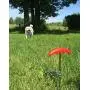 Prankish-Pet Dog Stake with Tie Out Cable - The Complete Tether System for Small to Medium Pets to Play in The Yard, Camping, or Outdoors Prankish-Pet Dog Stake with Tie Out Cable - The Complete Tether System for Small to Medium Pets to Play in The Yard, Camping, or Outdoors