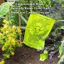 Zoorenity Compostable Poop Bag (240 Bags, Green)