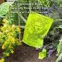 Zoorenity Compostable Poop Bag (240 Bags, Green)
