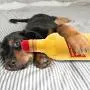 Haute Diggity Dog Muttini Collection | Unique Squeaky Parody Plush Dog Toys – Dogmestic and Impawted
