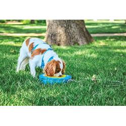 Aspen Pet Stay-a-Round Bowl