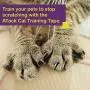 ATack Cat Anti-Scratch Training Tape, Residue-Free and Removable, Clear, 2.5-Inches x 20 Yards, Kitty Scratch Deterrent, Prevention Tape and Protector for Leather Couch, Furniture, Door