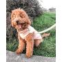 Gooby Dog Fleece Vest - Pullover Dog Jacket with Leash Ring - Winter Small Dog Sweater - Warm Dog Clothes for Small Dogs Girl or Boy for Indoor and Outdoor Use
