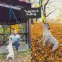 Outdoor Hanging Bungee Dog Toy - Durable Spring Pole for Pitbull & Medium to Large Dogs - Interactive Tugger for Safe & Fun Solo Play, Exercise and Tug of War - Tough Fire Hose Bite Tug Toy Included