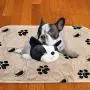 Best Defense Washable Pee Pads for Dogs, 2- Pack Large 30 x 32 Reusable Dog, Puppy, Whelping and Training Pad for Home, Apartment, Crate and Travel Best Defense Washable Pee Pads for Dogs, 2- Pack Large 30 x 32 Reusable Dog, Puppy, Whelping and Training Pad for Home, Apartment, Crate and Travel