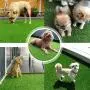 PINVNBY 2 Pcs 11.8” x 23.6” Puppy Grass Pee Pads, Artificial Pet Turf Fake Grass Mat for Puppy Dog Potty Training,Carpet Doormat Indoor & Outdoor Use