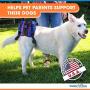 Walkin Lift Combo Rear Dog Harness for Mobility | Helps Dogs with Arthritis, Senior Dogs and Pets Recovering from Surgery