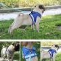 Feiky Dog Harness No-Pull Pet Harness Adjustable Reflective Outdoor Pet Vest and Dog Leash Easy Control for Small Medium Dog or Cat