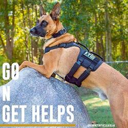 OneTigris Gladiator Support Dog Harness, Comfortable Non-Slide & No Pull Pet Lifting Rehabilitation Vest