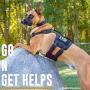 OneTigris Gladiator Support Dog Harness, Comfortable Non-Slide & No Pull Pet Lifting Rehabilitation Vest
