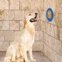 Panker Dog Lick Mat,Durable Silicone Dog Licking Pad Distract Dog for Easy Shower Bath Grooming, Puzzle Lick Mat Slow Feeder with 37 Super Suction Cups - Easy to Suck On The Wall