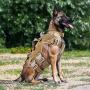 PETAC GEAR Tactical Dog Harness K9 Working Dog Vest Military Dog Training Harness Police Service Dog Vest with Handle, Molle Panel, Breathable Mesh