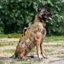 PETAC GEAR Tactical Dog Harness K9 Working Dog Vest Military Dog Training Harness Police Service Dog Vest with Handle, Molle Panel, Breathable Mesh