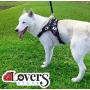 Pet Lovers Stuff Dog Harness Camo - Best Harness with Handle, Soft-Padded, Adjustable, Choke-Free, EZ on and Off