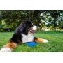 Toyo Collapsible 1000ml Dog Bowl, Foldable Expandable Portable Blue Silicone Feeding Watering Cup Dish for Dog and Cats- Walking Parking Traveling