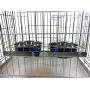 Ellie-Bo Pair of Dog Bowls for Crates/Cages or Pens,