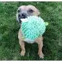 SmartPetLove - Tender-Tuffs - Squeaky Soft Plush Pufferfish Plush Toy - Great for Dogs Big and Small with Puncture Resistant Squeaker SmartPetLove - Tender-Tuffs - Squeaky Soft Plush Pufferfish Plush Toy - Great for Dogs Big and Small with Puncture Resistant Squeaker