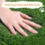 TeqHome Dog Grass Pad with Tray, Fake Grass for Dogs Potty, 25”x 20” Artificial Grass for Dog Pee Indoor/Outdoor, Puppy Potty Training Grass for Medium and Small Dogs Pets TeqHome Dog Grass Pad with Tray, Fake Grass for Dogs Potty, 25”x 20” Artificial Grass for Dog Pee Indoor/Outdoor, Puppy Potty Training Grass for Medium and Small Dogs Pets