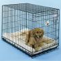 Precision Pet SnooZZy Original Fleece Crate Donut Dog Bed Size: Extra Small (18'' L x 12'' W)