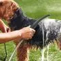 Waterpik PES-142UK Pet Wand Dog Shower Attachment for Indoor-Outdoor Use, Grey Waterpik PES-142UK Pet Wand Dog Shower Attachment for Indoor-Outdoor Use, Grey
