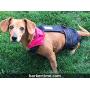 Barkertime Premium Waterproof Dog Diaper Overall - Made in USA - Denim Escape-Proof Premium Waterproof Dog Diaper Overall