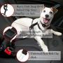 2 Adjustable Car Seat Belts for Dogs & Cats --- Triple the survival rate in accidents - Prevent stress from travel in kennel - Allow breathing fresh air without pets jumping out - Support all cars