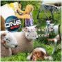 One Shot Deodorizing Spray, 16 Oz