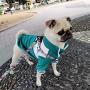 Dog Harness for Small Dogs with Leash Easy Walk No Pull Soft Comfortable Fabric Geometric Pattern (L（Width 0.98'' Chest 21.6-30.7'' 58-74lb）, Geometric Pattern)