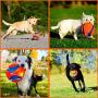 Chuckit! Kick Fetch, an Interactive Dog Toy Large Size 20cm