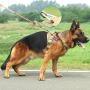EXCELLENT ELITE SPANKER Tactical Dog Harness Patrol K9 Harness Service Dog Vest Military Dog Vest Working Dog Vest with Handle