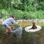 ZIRUTZI Dog Float for Pool –Inflatable Dog Pool Float - Ride on Raft for Large Dogs Puppies and Swimming Pets