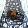 Cat Hammock Bed,Cat House Bed,Kitten Tent Bed,Pet Perch Toy Shelf Supplies,Comfortable Hanging Pet Hammock Bed for Cat/Dog Cat Hammock Bed,Cat House Bed,Kitten Tent Bed,Pet Perch Toy Shelf Supplies,Comfortable Hanging Pet Hammock Bed for Cat/Dog