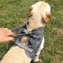 Heywean No Pull Dog Harness for Outdoor Walking Adjustable Pet Vest Harness with Easy Control Handle Prevent Dogs from Bursting (L, Grey)