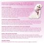 Pooch Outfitters Dog Harness Collection | Dog Walking with Style – Extensive Selection of Unique, Fashionable Harnesses That Suit Any Taste, Mood, Occasion